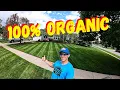 ARE WORM CASTINGS THE BEST ORGANIC FERTILIZER
