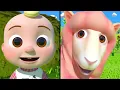 Wheels on the Bus + More CoComelon Animal Time | 2 Hour CoComelon Animal Nursery Rhymes