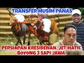 Download Lagu TRANSFER MUSIM PANAS, JET MATIC BOYONG 3 SAPI JAWA  || KABUPATENAN BAKAL MENURUNKAN 4 PASANG 🔥🔥
