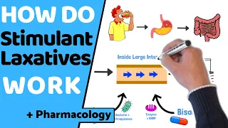 Stimulant Laxatives The Pharmacology Behind Senna Bisacodyl