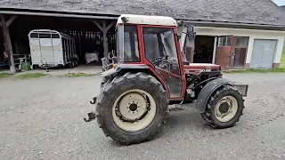                           دندنها