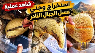 أفضل انواع العسل الجبلي عسل بوطويق 