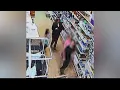 Evansville Police investigating multiple animal thefts from stores