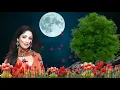 Download Lagu Ogo Chand Tumi jege thako Majkhan MP3 video song। ওগো চাঁদ তুমি জেগে থাকো আমাদের মাঝখানে রাতে সাক্ষী