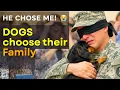 Being chosen by the saddest dog in the shelter Dog Adoption