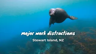 major work distractions