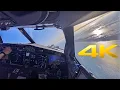 Boeing 737 Max Faro landing Cockpit view