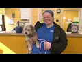 Team Paulding February 2021 Employee of the Month Katie Shipman