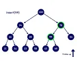 Binary Heaps