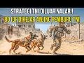 Lagu BRAVO‼️TNI LEPASKAN ANJING PEMBURU KEJAR TENTARA ISRAEL‼️