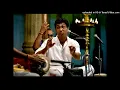 Download Lagu Palghat R Ramprasad - jagatkaraka - bEgaDA - pApanAsam sivan / Rukmini Ramani