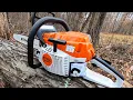 Agree to Disagree - chainsaw bar length