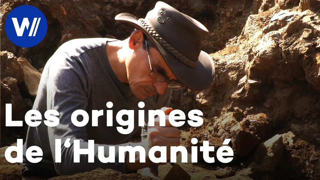 Comment l'humanité est-elle apparue ? Sur les traces du premier humain à Kromdraai en Afrique du Sud