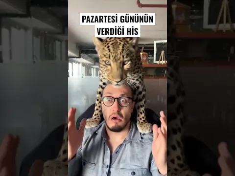 Arkandaki sürprize hazır mısın?