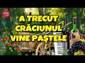 Download Lagu 2022/CRĂCIUN/PAŞTE, TOT GĂSIM UN MOTIV SA PETRECEM/PETRECE OMULE/NU E DUPA EI, TU PETRECI CÂND VREI
