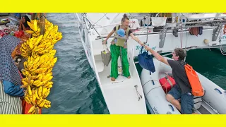 Local Market with a SUPERSTAR!  Episode 257