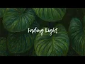 Fading Light