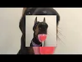 Download Lagu mrs.officer - lil wayne  [sped up]