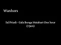Download Lagu Sal Priadi - Gala Bunga Matahari One hour (Satu Jam)