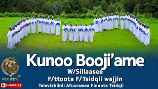 Kunoo Booji Ame W Sillaasee F Ttoota F Tsidqii Wajjin Televizhiinii Afuurawaa Finoota Tsidqii 