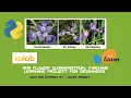Iris flower Prediction App using streamlit Aftab Mallick