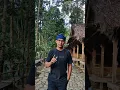 Download Lagu Asri sejuk bikin betah