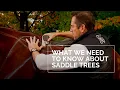 Download Lagu Peter Horobin Saddlery - What Do We Need To Know About Saddle Trees