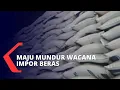 Download Lagu Impor Beras Satu Juta Ton Baru Wacana, Harga Gabah Sudah Turun