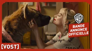 Birds of Prey - Bande Annonce #2 [VOST]