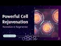 Download Lagu ❋ Cell Rejuvenation ~ Revitalize | Regenerate | Supernatural Immune System ~ Gentle Rain Sounds