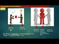 Introduction - What is Data Serialization in Networking