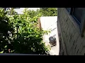 2531 Inyo Avenue Oakland CA 94601