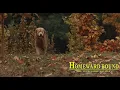 Download Lagu Shadow Comes Home - Homeward Bound (1993)