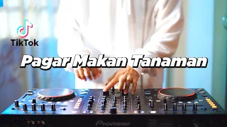 Download DJ PAGAR MAKAN TANAMAN REMIX VIRAL ! Engkau teman karib ku lebih dari saudara (By Kevin Studio) MP3