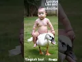 Download Lagu ###Tingkah bayi lucu,# bayi imoet#bayi ketawa