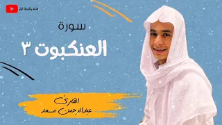 ما تيسر من سورة العنكبوت ٣ للقارئ  عبدالرحمن مسعد أرح سمعك وقلبك بالقرآن                    دندنها
