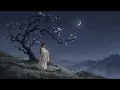 Chinese Moonlight Music: Gentle Flute & Ambient Tones | Quiet Plum Blossom Night