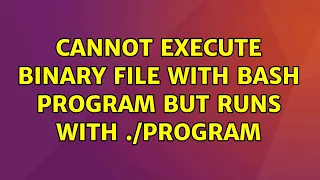 Ubuntu Cannot execute binary file with bash program but runs with program 2 Solutions