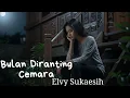 Download Lagu Cover Dangdut – Bulan di Ranting Cemara (Elvy Sukaesih) | Versi [ Safira Dangdut Official]