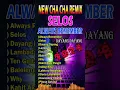 Download Lagu NEW CHA CHA REMIX Playlist #selos #viralremix2024