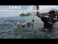 Download Lagu 🔴Spot terbaru jaring ikan banyak baronang nempel