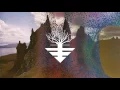 Requin Chagrin - Le Chagrin