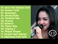 Download Lagu Lala widy new palapa full album #kompilasinewpalapa #mrx.tv