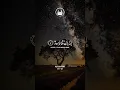 Download Lagu Surah As-Saffat Ayat 01-12 Soothing Quran Recitation by Saud Al-Shuraim #qurandaily