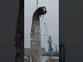 Download Lagu Spectacular Footage Shows Crane Reeling 16-Foot-Long Oarfish in Chilean Port