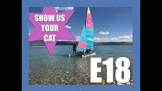 Show us your cat! E18 UK, South Korea, USA