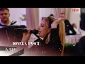 Download Lagu Ionela Pascu \u0026 Formatia - Colaj Brauri | Nunta Ani \u0026 Liviu