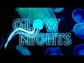Glow Nights at Georgia Aquarium