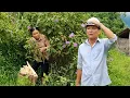 Download Lagu Lien chose to avoid him, that was the best way for the CEO's family to reunite