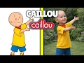 Caillou Characters in Real Life